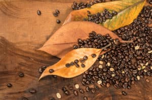 mazagran coffee beans and leaves | PBFY